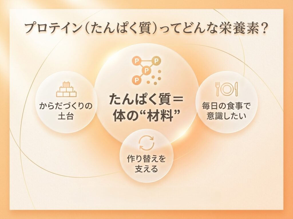 たんぱく質は体の材料。毎日の食事で意識したい栄養素を図解