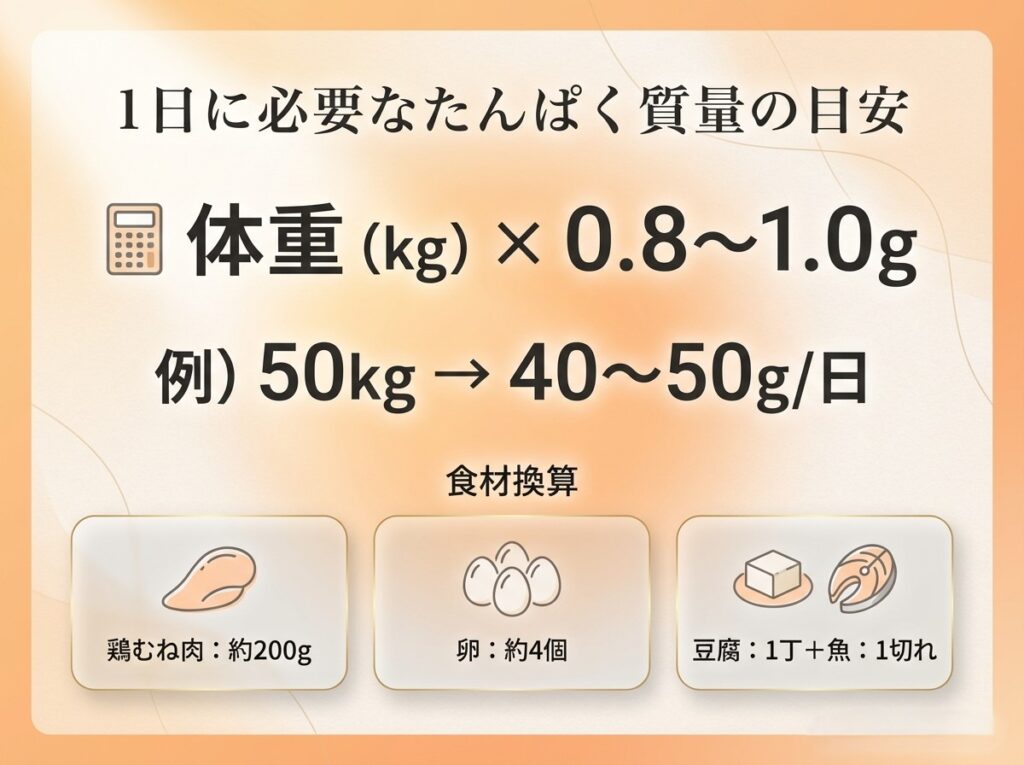 1日に必要なたんぱく質量の目安(体重×0.8〜1.0g)をわかりやすく図解