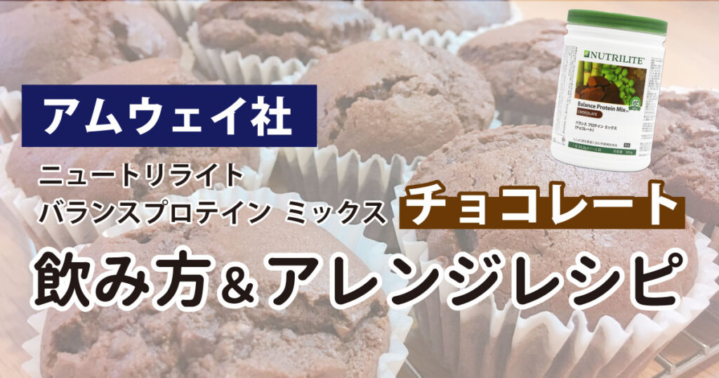 ニュートリライトバランスプロテインミックス　チョコレート味2個セット Amway アムウェイ ニュートリライト バランス プロテイン