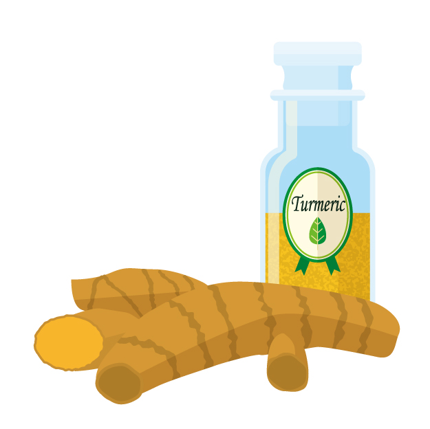 ポリフェノールの一種であるクルクミンを多く含むウコン(ターメリック)