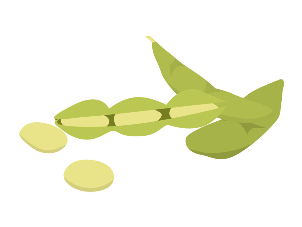 ポリフェノールの一種であるイソフラボンを多く含む大豆