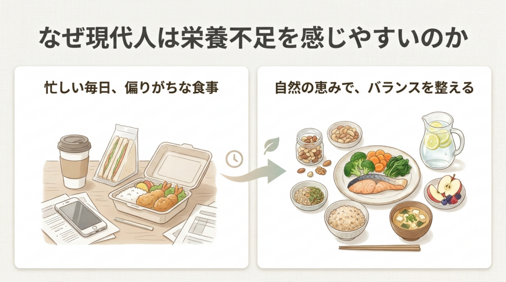 忙しい毎日の偏りがちな食事から自然の恵みでバランスを整える流れを示した図解